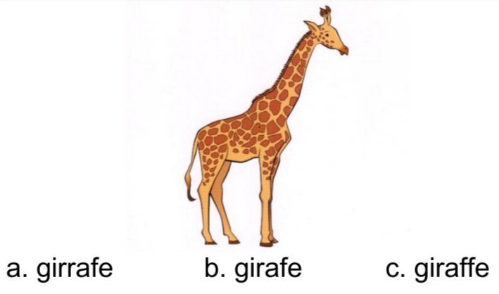 دریافت سوال 2
