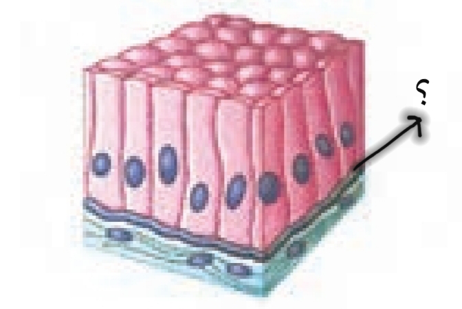 دریافت سوال 3