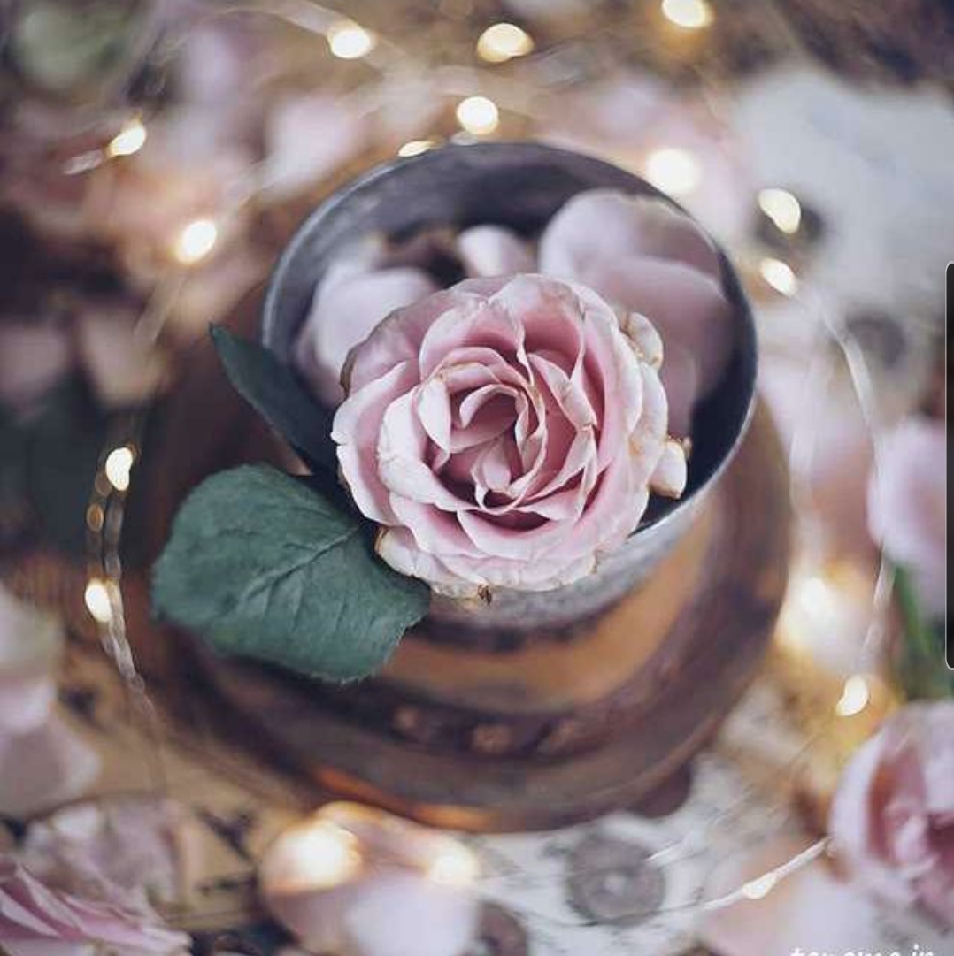 دریافت سوال 6