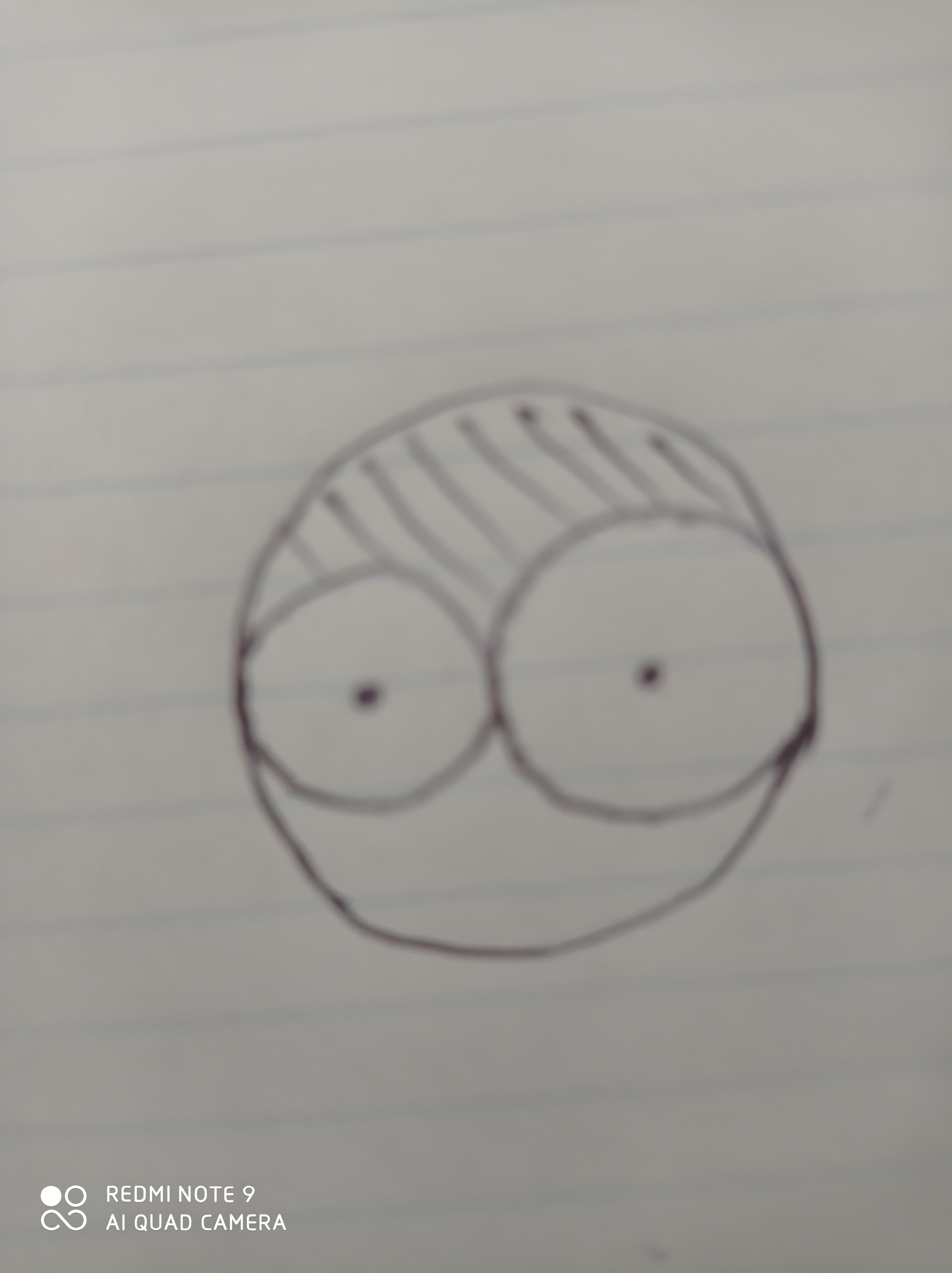 دریافت سوال 6