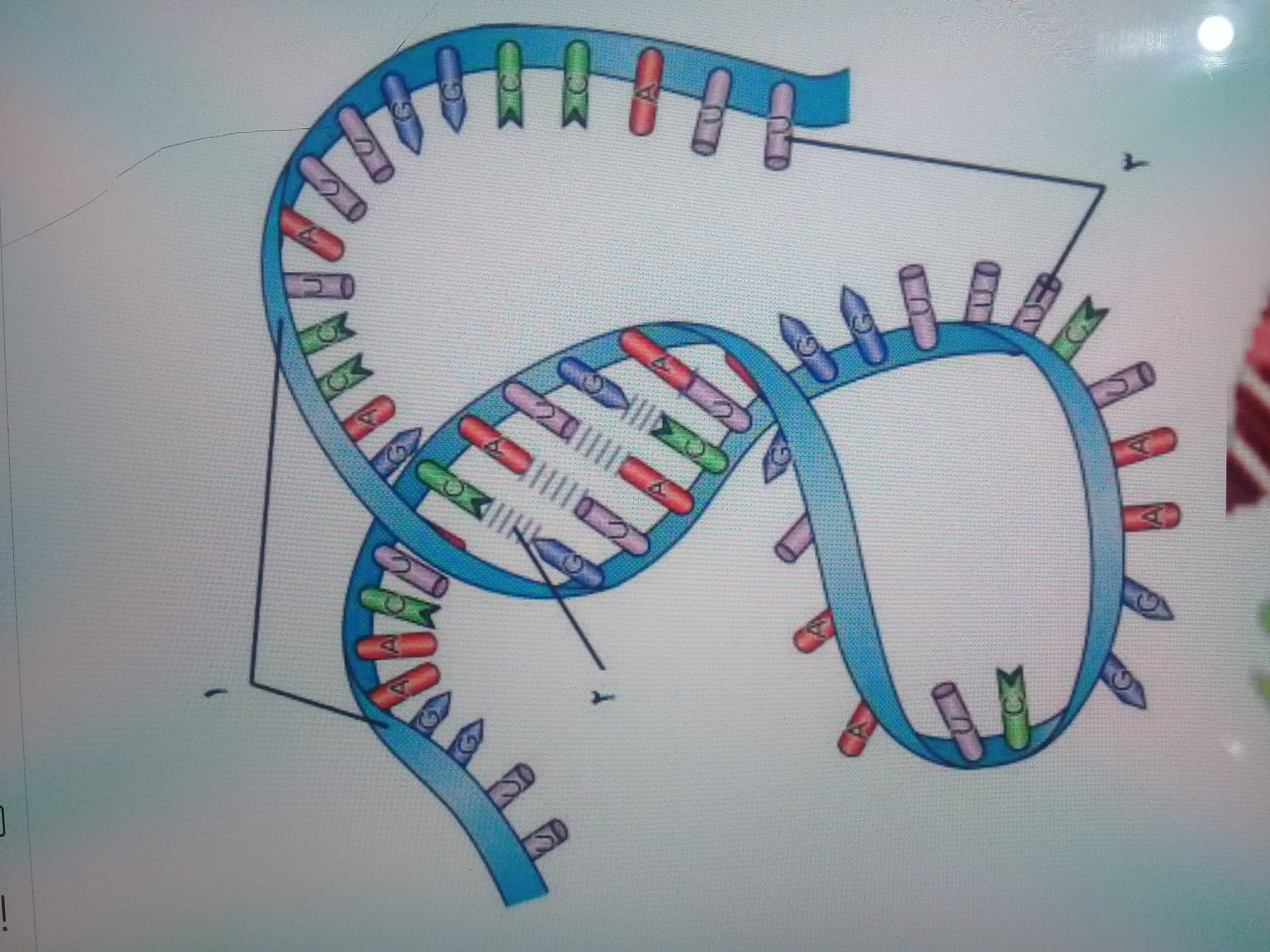 دریافت سوال 5
