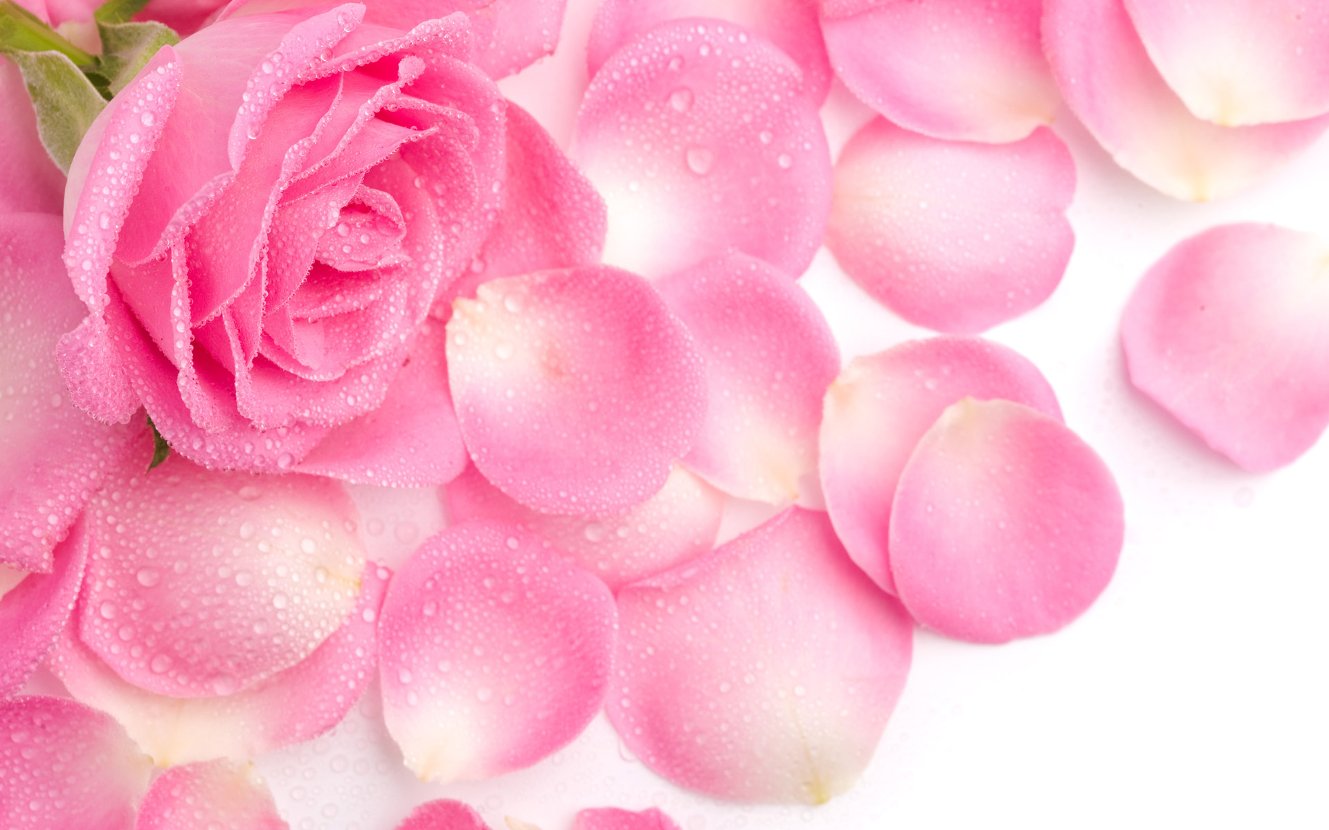 دریافت سوال 3