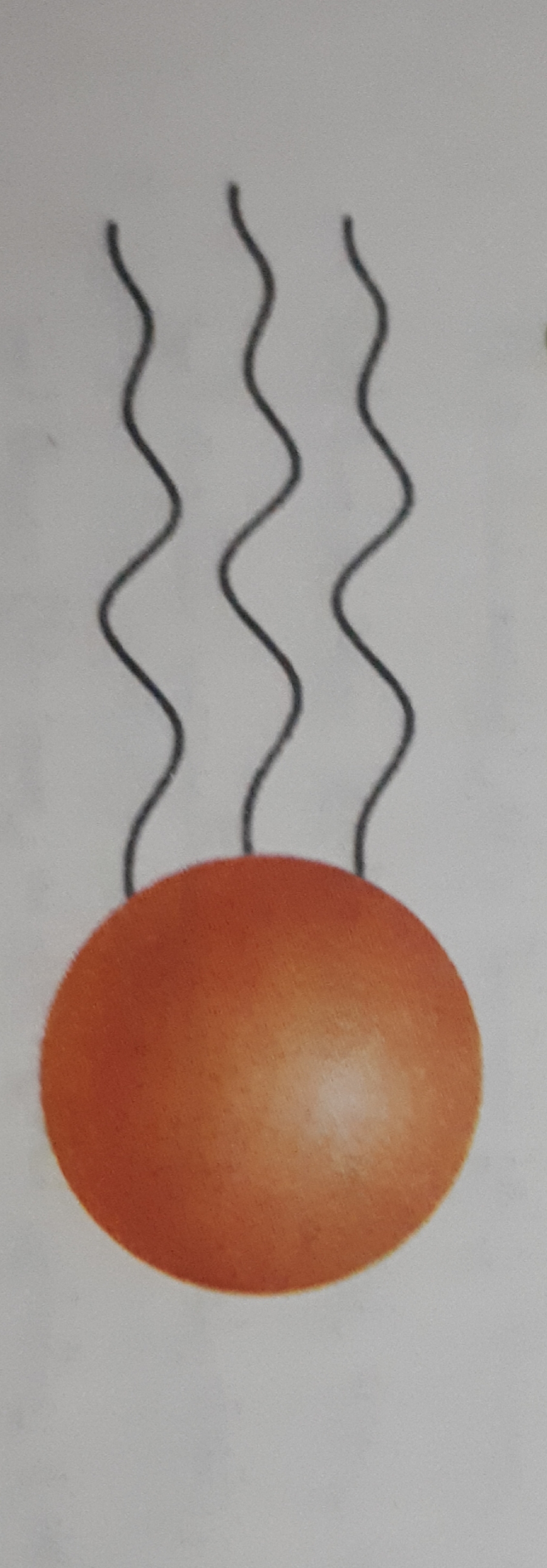 دریافت سوال 6