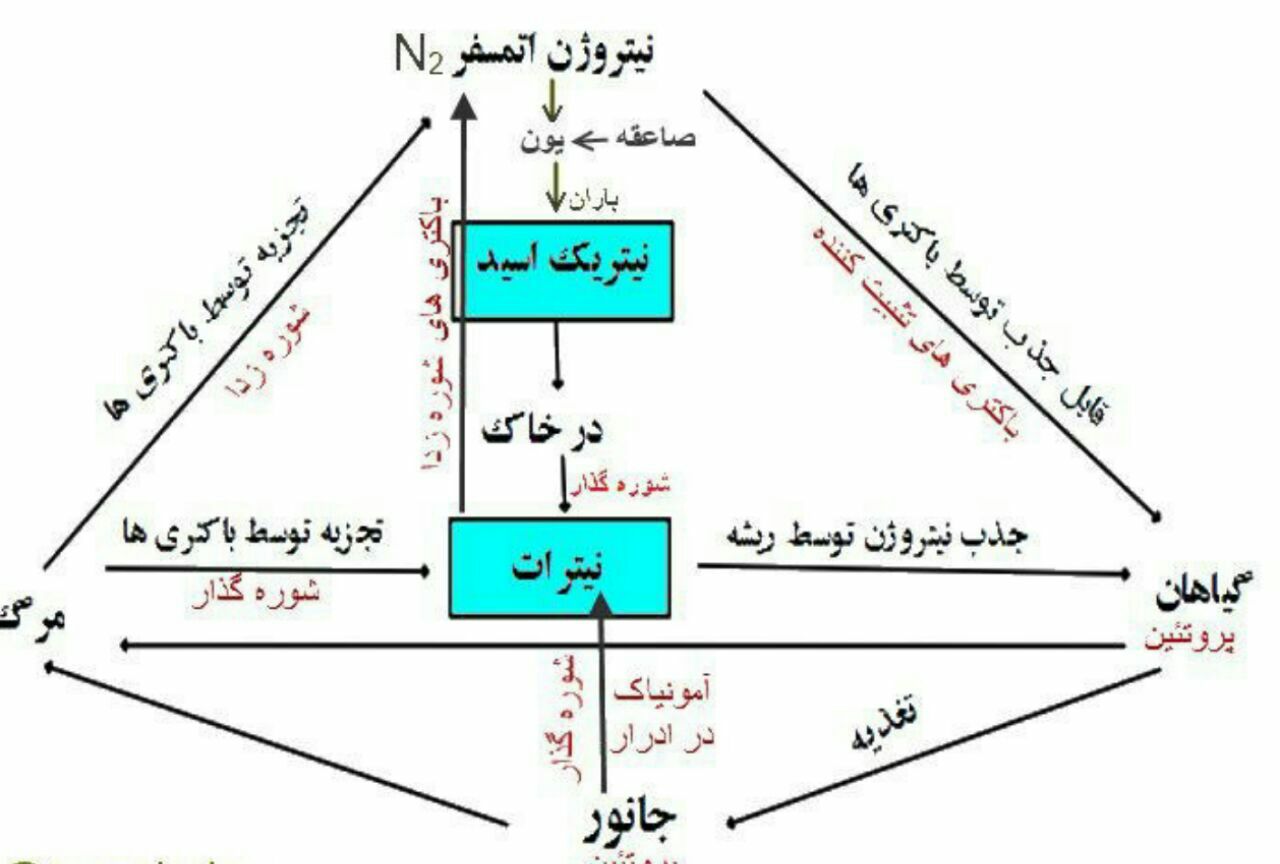 دریافت سوال 10