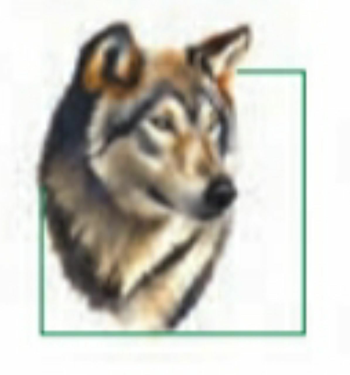 دریافت سوال 9