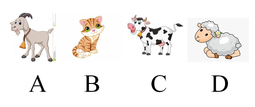 دریافت سوال 7