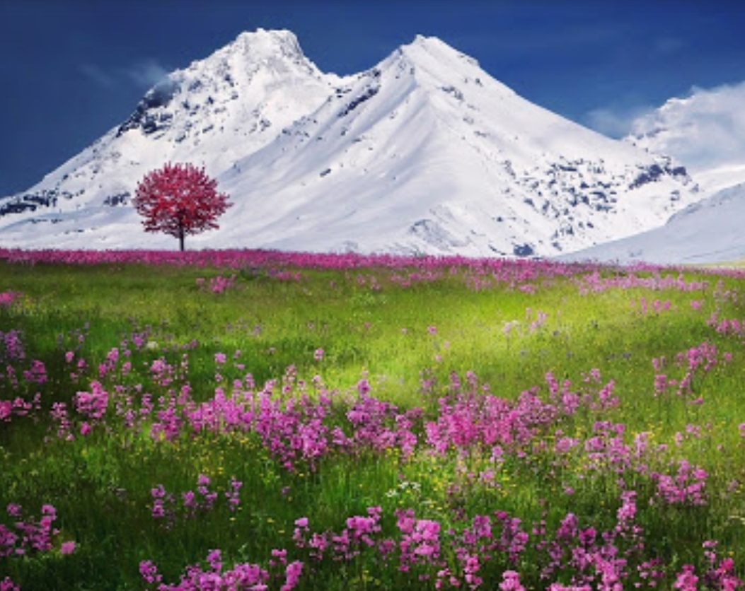 دریافت سوال ۱