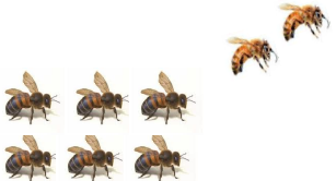 دریافت سوال 3