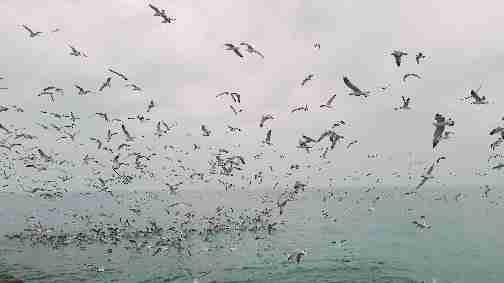 دریافت سوال 2