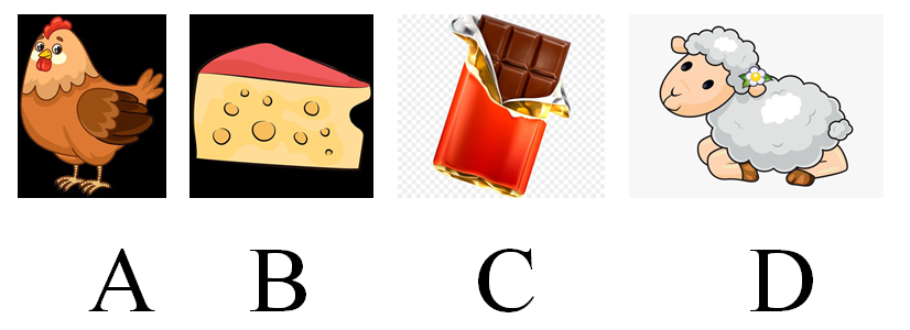 دریافت سوال 5