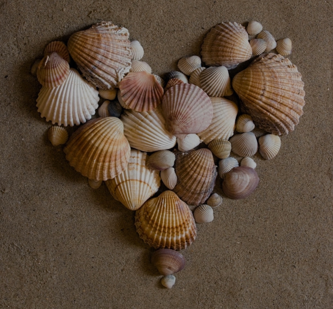 دریافت سوال 14