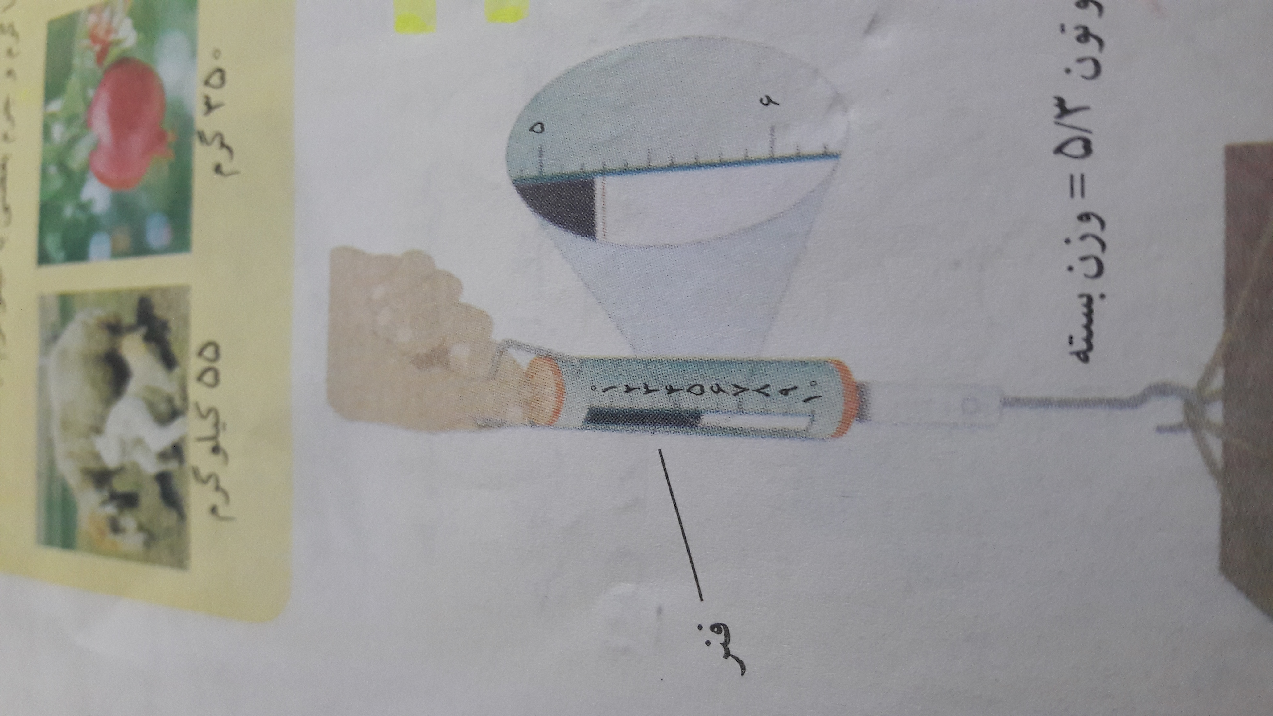 دریافت سوال 7