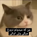 img of sticker