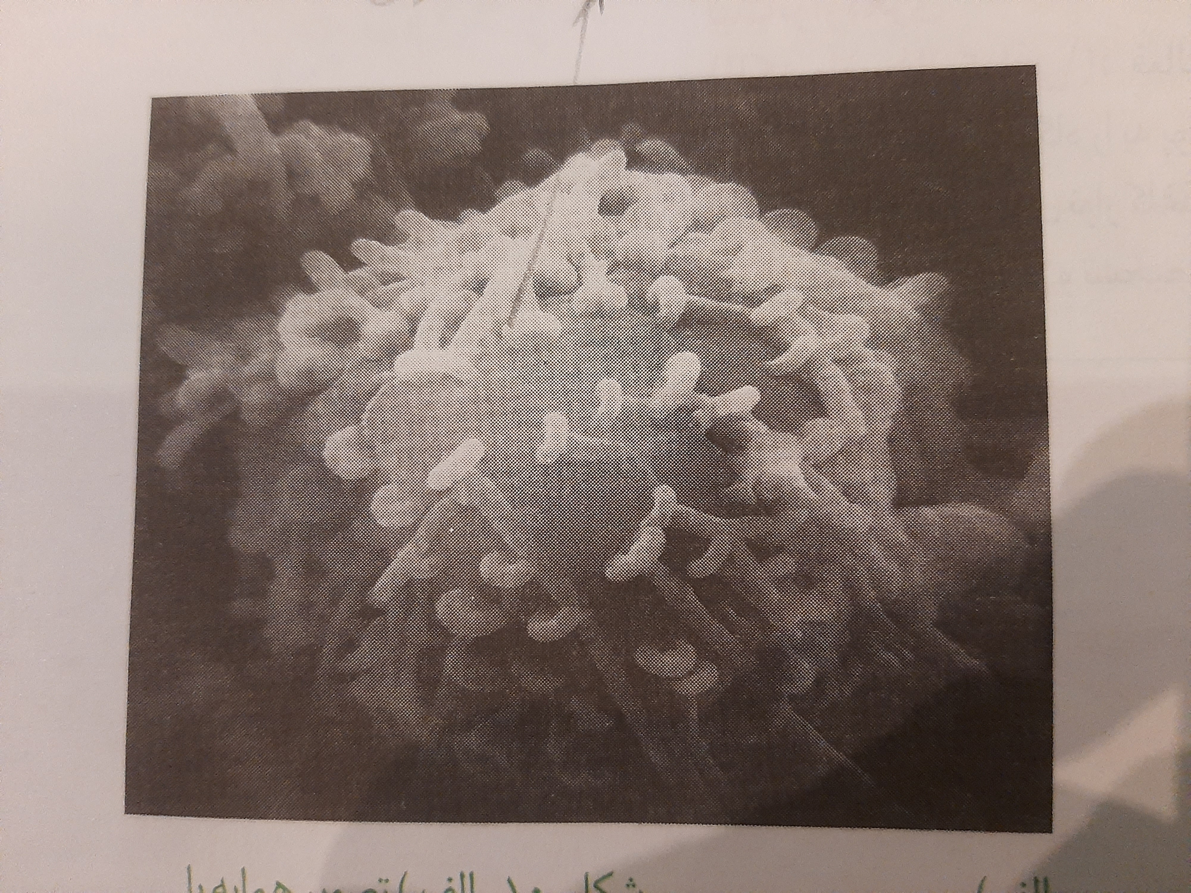 دریافت سوال 7