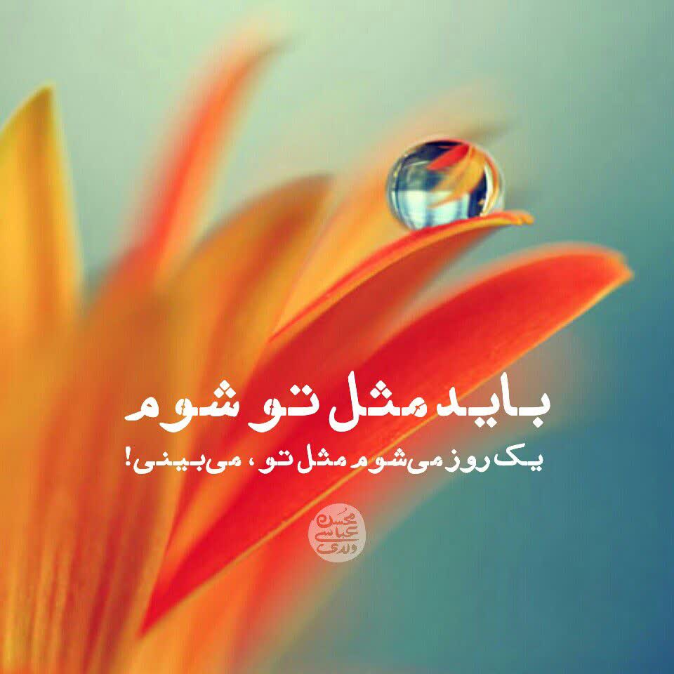 دریافت استاد/معلم