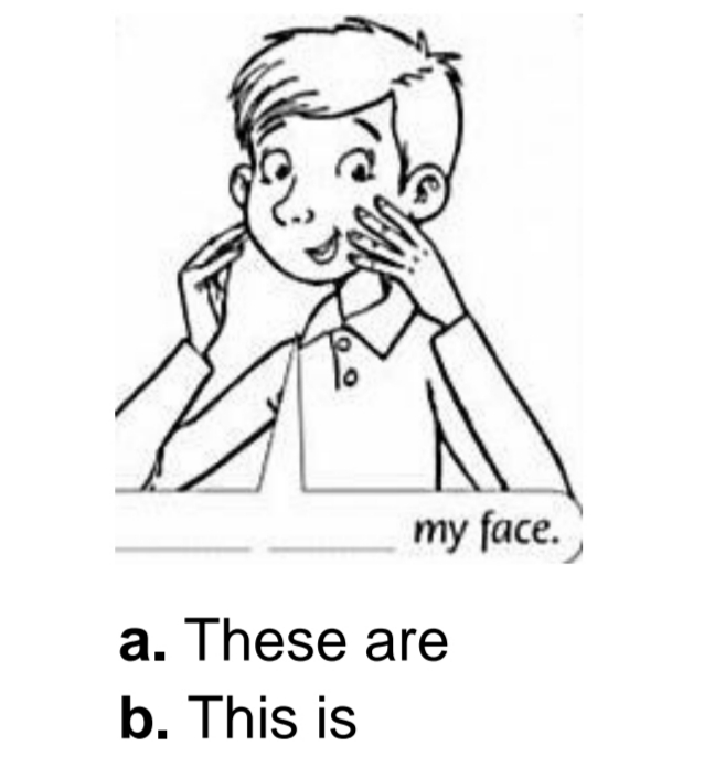 دریافت سوال 14