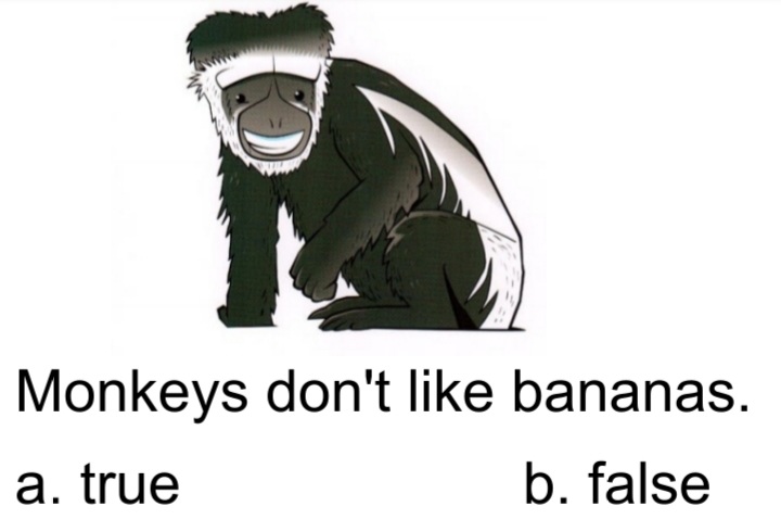 دریافت سوال 17