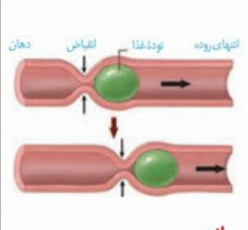 دریافت سوال 9